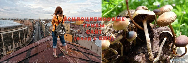 spice Балабаново