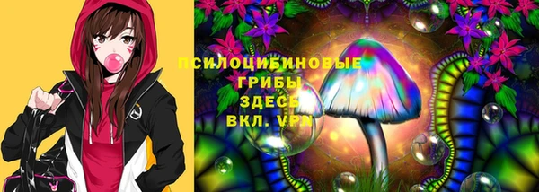 прущая мука Армянск